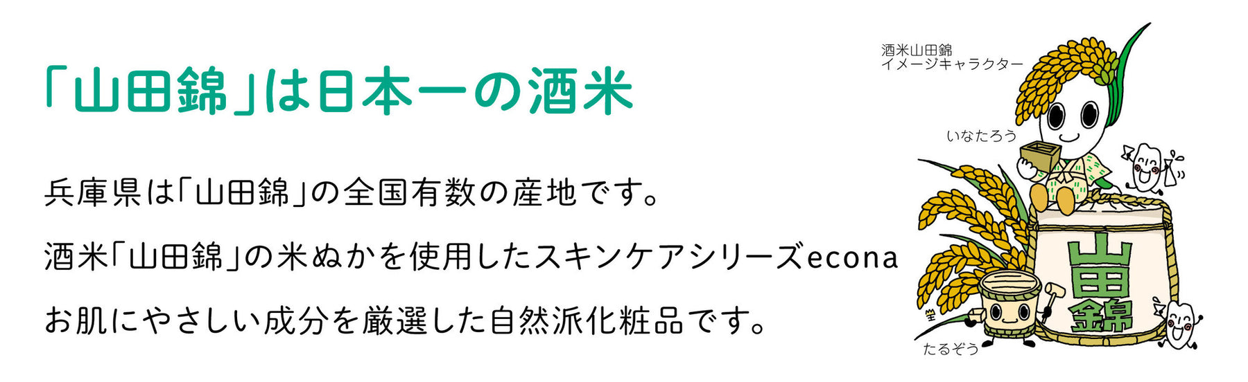 econaシリーズセット、オリジナル泡立てネット付