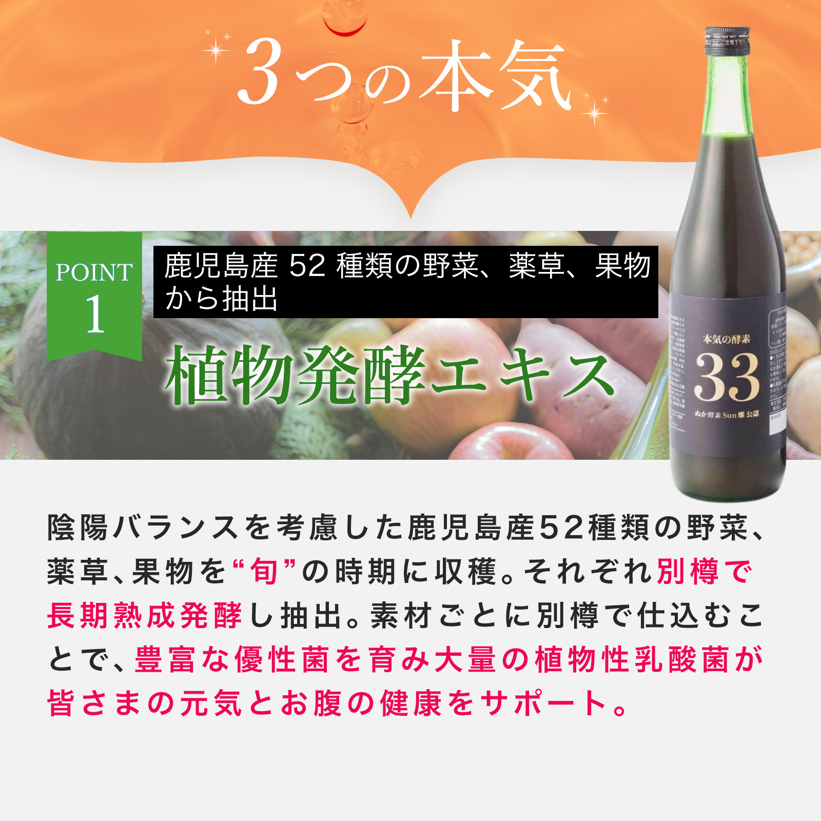 本気の酵素ドリンク(単品購入) 本気の酵素ドリンク(単品購入)